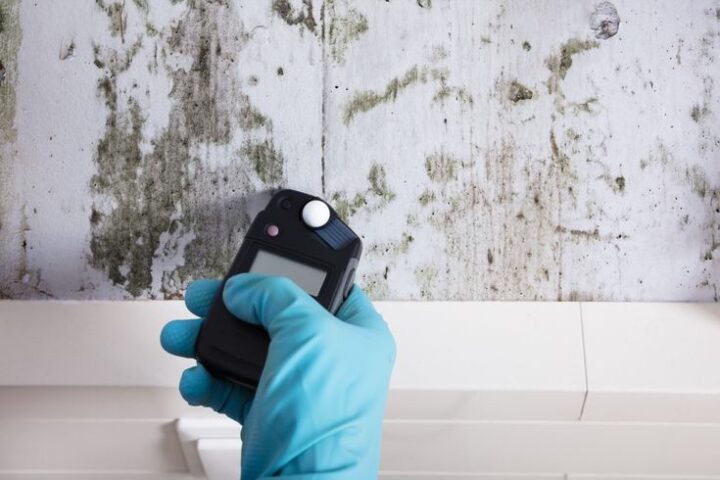 Mold Detection