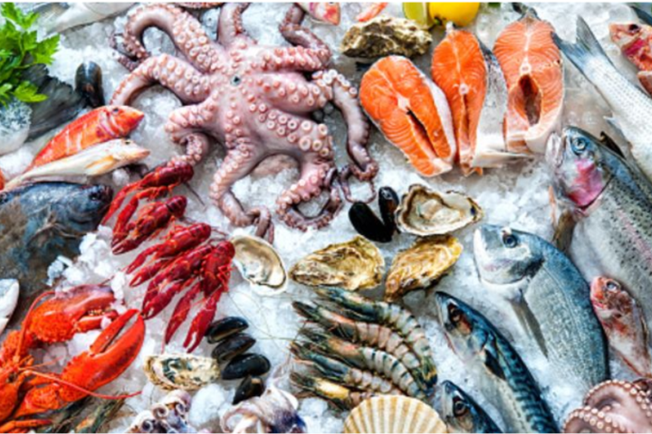 5 Strategies To Showcase Sustainability In Seafood Branding