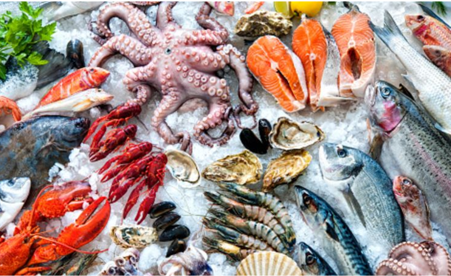 5 Strategies To Showcase Sustainability In Seafood Branding