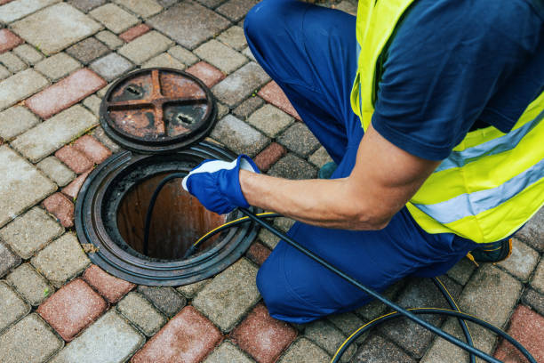 Drain Cleaners