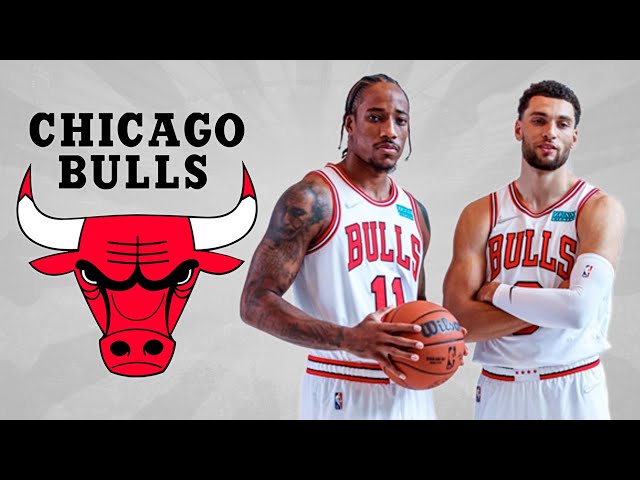 Bulls