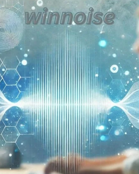 winnoise