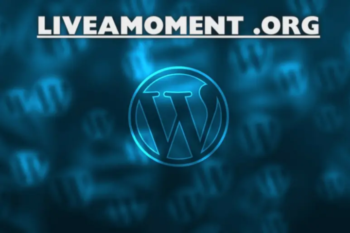 ://liveamoment.org/