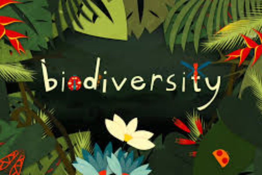 Biodiversity Conservation