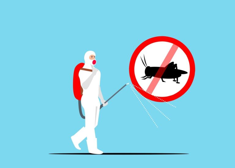 Top 6 Signs You Need Emergency Pest Control Services