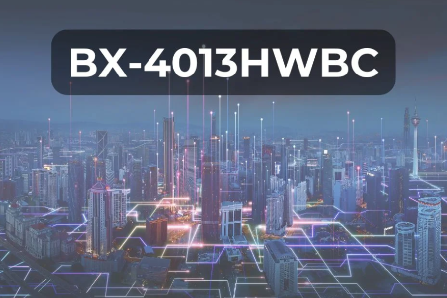 What Is The BX-4013HWBC?