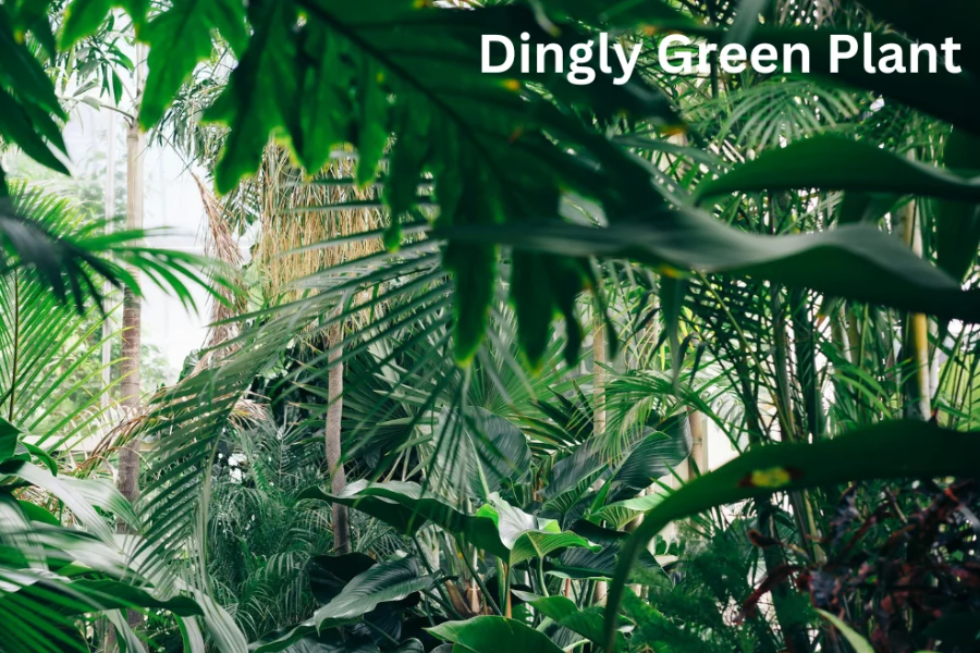 Dinglygreen