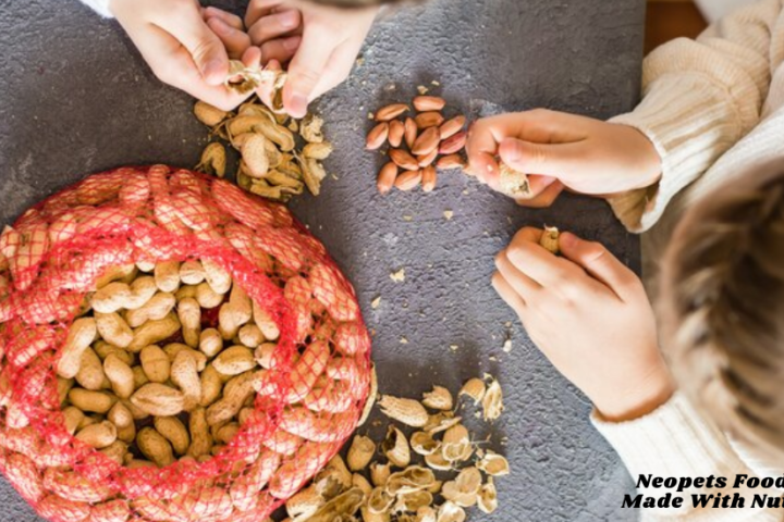 Neopets Food Made With Nuts: Everything You Need To Know About Nutty Treats For Your Pets