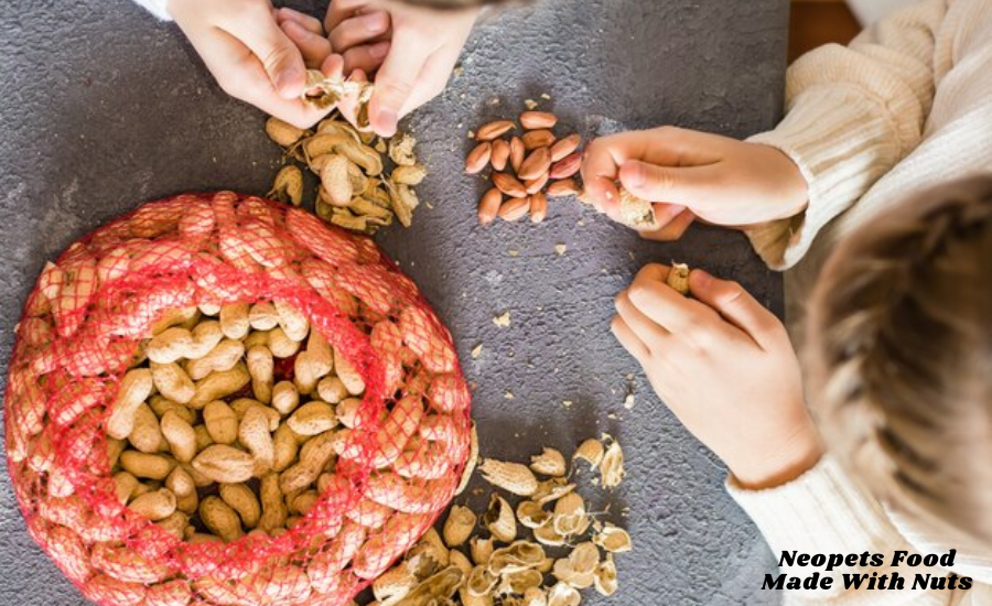 Neopets Food Made With Nuts: Everything You Need To Know About Nutty Treats For Your Pets