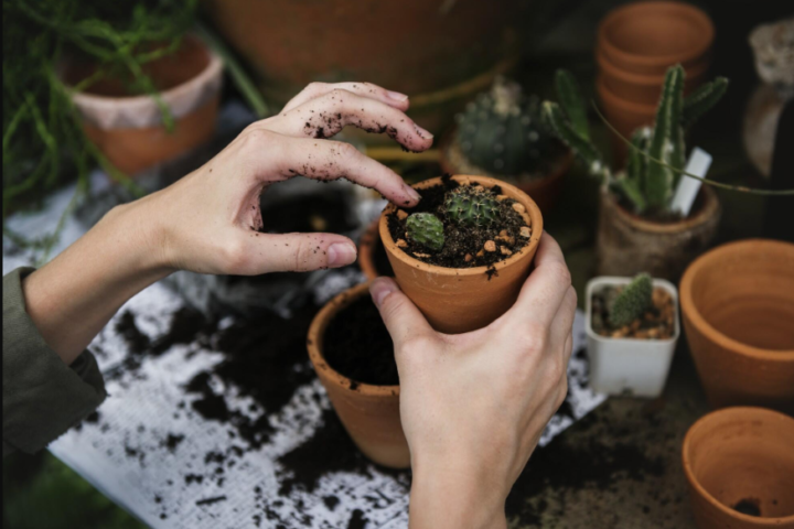 Garden containers