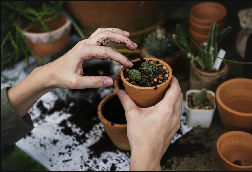 Garden containers