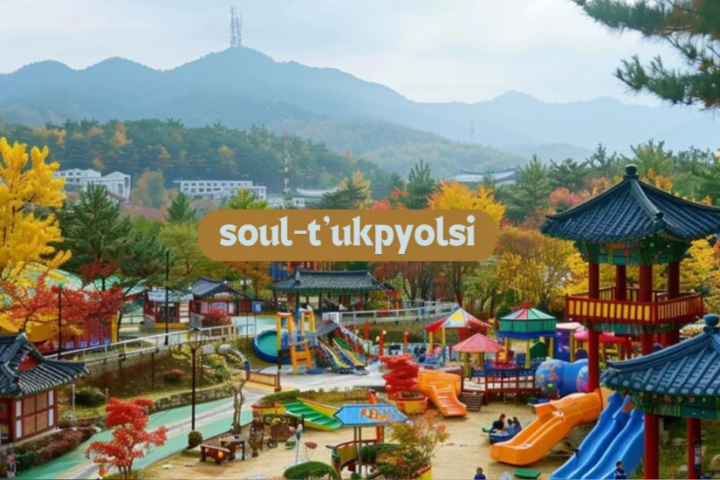 soul-t'ukpyolsi